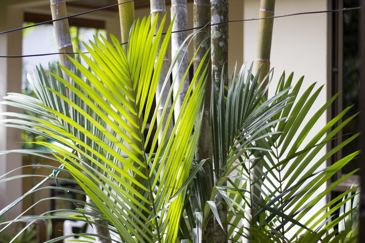 Family Bungalow Kamala Exteriér fotografie